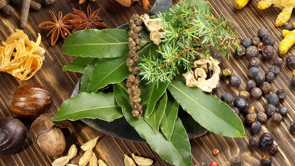 Ayurveda Industry